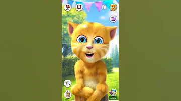 Papa Mama I M Here Ginger 2 My Tom 2 Anjelina 2 Shorts Short Ytshorts 