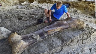 हाल ही में हुई 10 अद्भुत खोजें | Most amazing recent discoveries