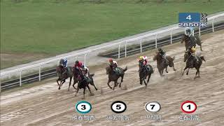20201121 4YO+ 2850m (Race 4) 武汉速度赛马公开赛D5 第4场 4岁及以上 2850米