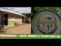Zooparc Overloon - Wilde honden &amp; Stokstaartjes