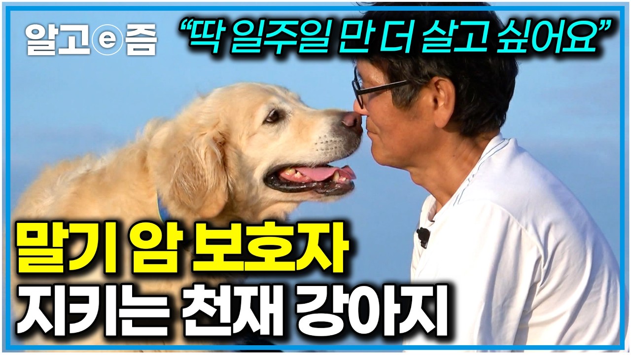 예전처럼 보호자를 잃을까 봐 껌딱지가 된 개. 안락사 직전이었던 유기견과 말기 암 판정받은 보호자｜세상에 나쁜 개는 없다｜알고e즘
