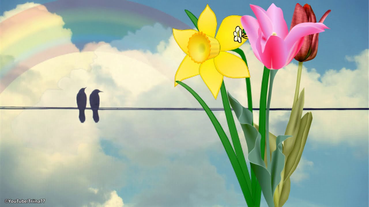 Paul Mauriat Alouette (La Peregrinacion) ㋡ YouTube