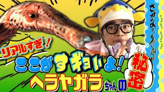 【ヘラヤガラちゃん編】リアルすぎる！さかなクンプロデュース“おさかなぬいぐるみシリーズ”「ヘラヤガラのすギョい秘密」を徹底解説！