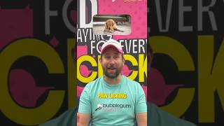 From Paw Licking to National Headlines – Pet PR Case Study