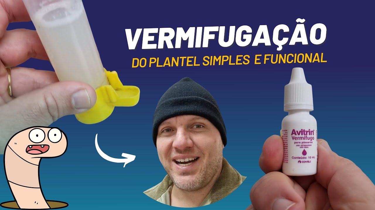 Como vermífugar seus pássaros sem complicação e de maneira eficiente