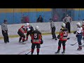 Драка на матче Шахтер (Прокопьевск) - Локомотив (Новосибирск)