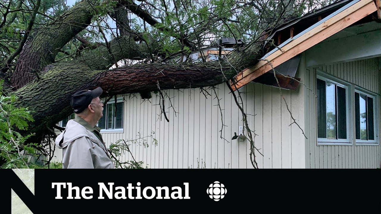 ⁣Tornado research ramping up after Ottawa sees 3rd this summer