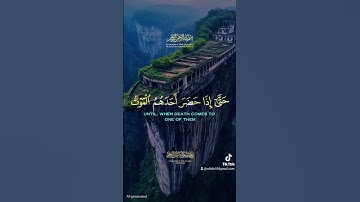 القرآن الكريم ربيع قلبي ❤ #اكسبلور #المراه #تيك_توك #اعتني #rai #النظافه #دويتو #duet #الغلا #اهميه