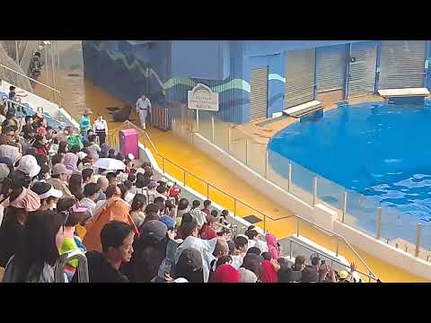 OCEAN PARK HONGKONG #SHOWINGTIME