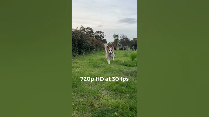Turn your iPhone into a 4K video camera