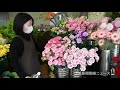 「お母さんありがとう」 母の日前にカーネーションやアジサイずらり 群馬県内の生花店