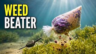 Fishing Over Light Weed Try This Parachute Bag Rig