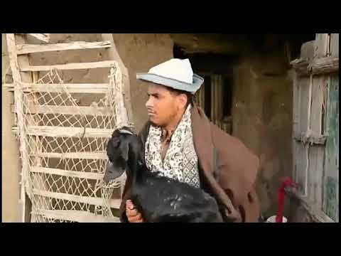 اضحك مع احمد جاميكا اعلان كرونا فى مدينتى الشاملة ضحك