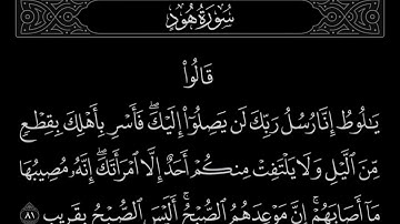 سورة هود الآية 81