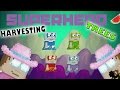 Growtopia  harvesting 50 super hero trees