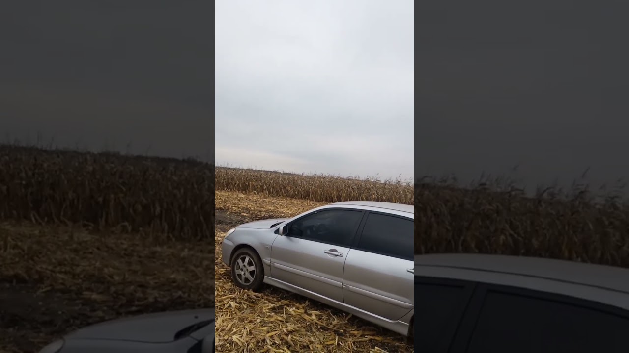 Search for antiquities, Chernihiv region