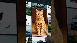 Supervised Machine Learning - A short trailer 