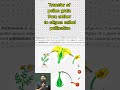 Pollination in Gymnosperms Explained By World Record Holder Alauddin sir #neetbiology #motivation
