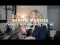 Shawn Mendes - There's Nothing Holdin' Me Back | Cover