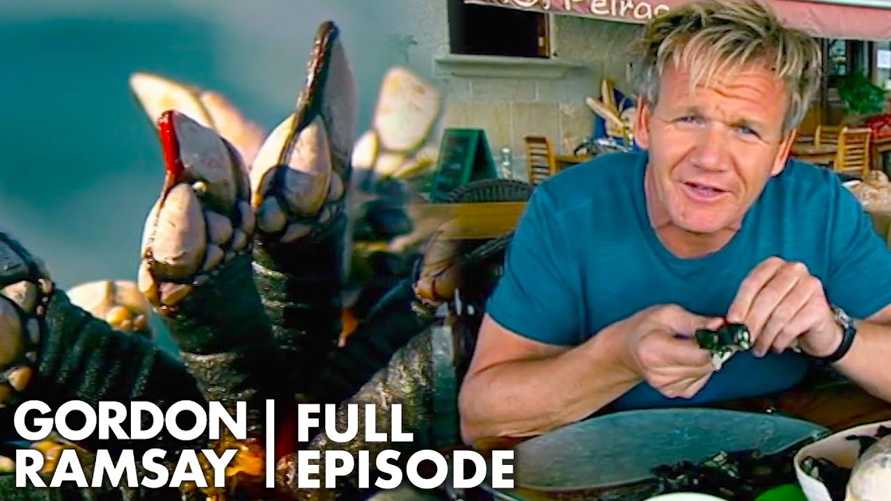 Gordon Ramsay Finds Out Why Goose Barnacle Are So Expensive | The F Word FULL EPISODE