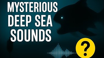 “The Deep Sea Sound No One Can Explain… 🐋🌊”