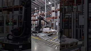Automatic Palletizer for Food Factory | Clean & Hygienic Stacking Solution
