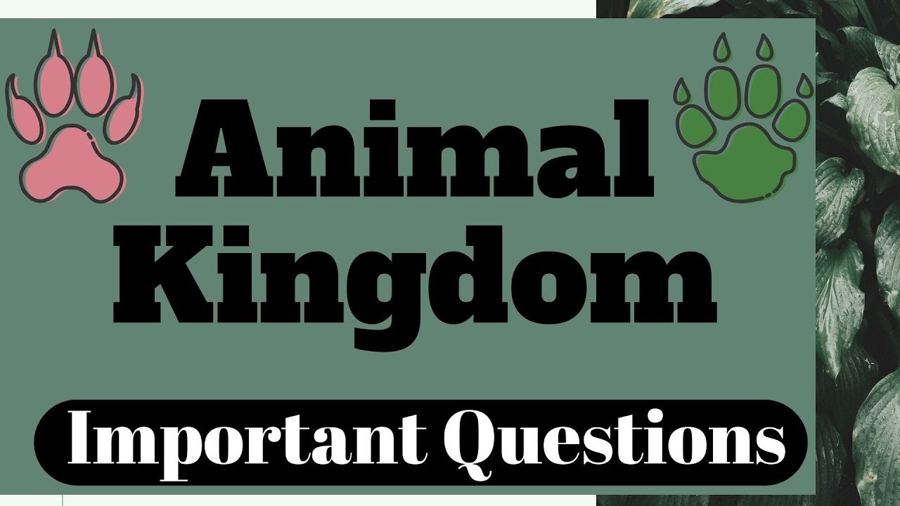 nta neet 2019 merit list Animal Kingdom - Part 2 - Important Questions - NEET 2020 2021 - Dr. Rajeev Ranjan - NEETprep