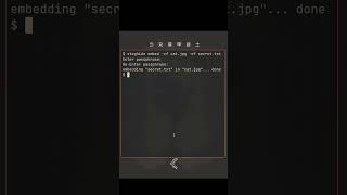 How to Hide Messages in Images using the Terminal | steghide | #linux #coding #linuxcommands