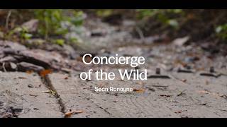 Concierge of the Wild: An Irish Dawn Chorus with Seán Ronayne | Cork, Ireland