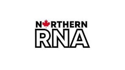 GMP Cleanroom Construction (Time Lapse)