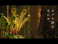 能見川 と オオサンショウウオの森 │ Noumi creek runs through Hirogawara village , Kyoto