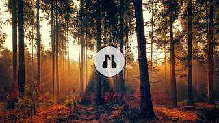 Nekzlo - Found You No Copyright Music