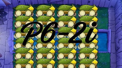 Fast 24 Cob | Fog Endless