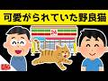 コンビニでお客さんたちに可愛がられていた野良猫が、コンビニが深夜営業をやめた結果