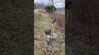 4yr. Old Robinhood!! Young Hunter and His Archery Skills From Tennessee! 🎥:@helkins26 #deerseason24 screenshot 3