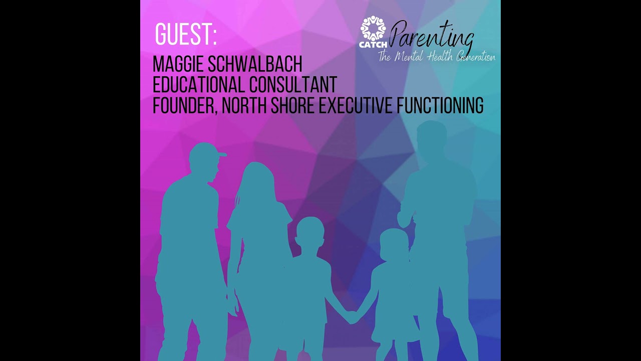 Making Sense of Our Chaotic World