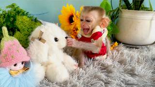 A Little Friend, A Big Smile – Baby Monkey’s Happy Moment 💛