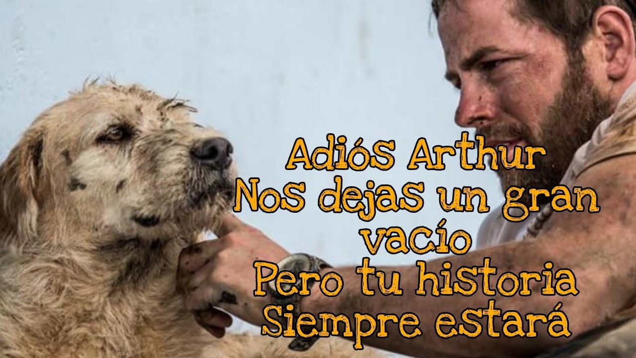 Murió ARTHUR el perro Ecuatoriano adoptado por el Sueco Mikael Lindnord || Natural Force