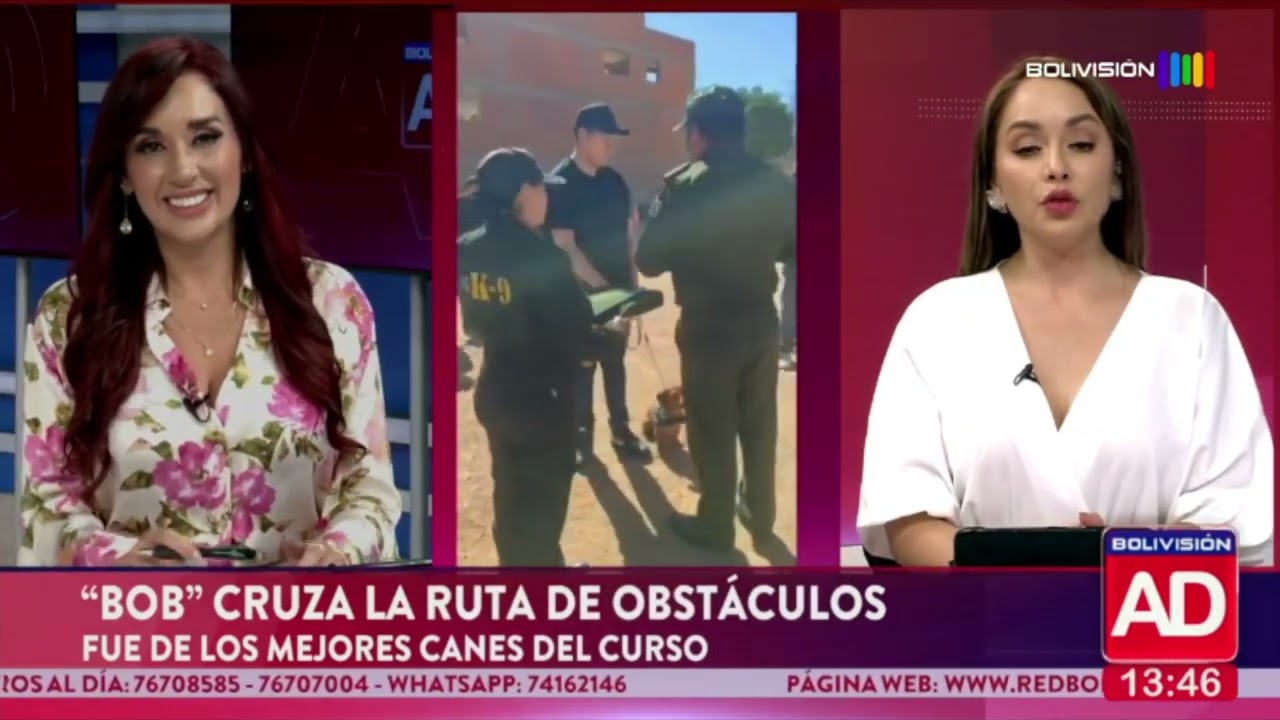 Un perro salchicha destaca en la graduación de un curso de obediencia en Oruro