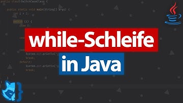 While Schleife in Java | While Schleifen einfach erklärt | Java für Anfänger 💻 [Teil 9] (Coding Fox)
