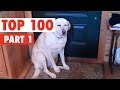 Top 100 Best of The Year 2016 Part 1