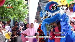 Mabok Ngeslot tari Barongsai 🎵 Burok IPM Ipang Musik 🔴 Cibuniwangi 11-11-2022