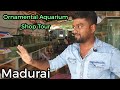 வண்ண மீன்கள் - MADURAI ornamental fish farm visit