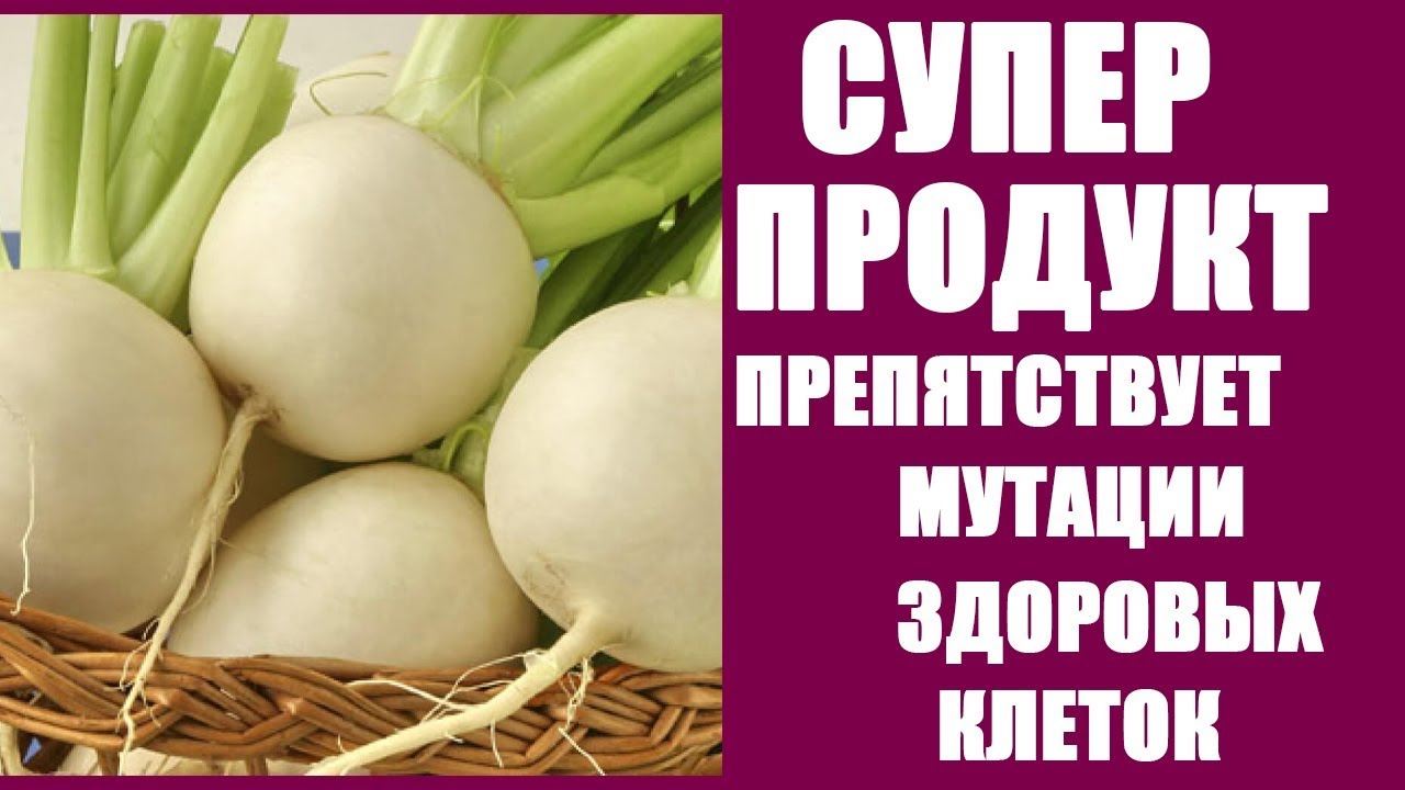 ЧЕРНАЯ РЕДЬКА ПОЛЬЗА. РЕДЬКА ДЛЯ ЗРЕНИЯ, НЕРВНОЙ СИСТЕМЫ, ИММУНИТЕТА, ПРОТИВ РАКА.