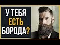 Топовые Виды Бород в 2019 | RMRS