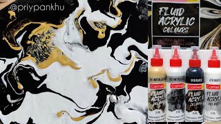 Camlin Fluid Art Monochrome Series Diy Kit Fluid Art Acrylic Pouring Easy Fluid Art