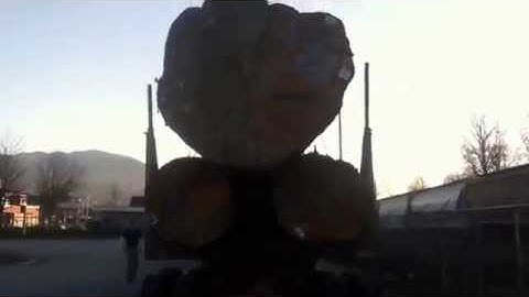 Huge 3 log load of spruce on 1978 Peterbilt 359