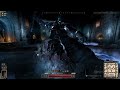 【dad】ワイプされて三時間後には新ボス攻略漢 バード盾無し【ダークアンドダーカー】【Dark and Darker】【スペクタクルナイト】