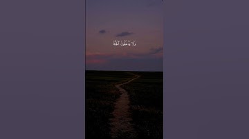 سورة الأعراف { ٤٠ ــ ٤١ } #ياسر_الدوسري #quran #سورة_الأعراف