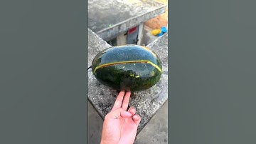 Experiment: will a  watermelon explode if it rolls off a tall building? 💥🍉#shorts
